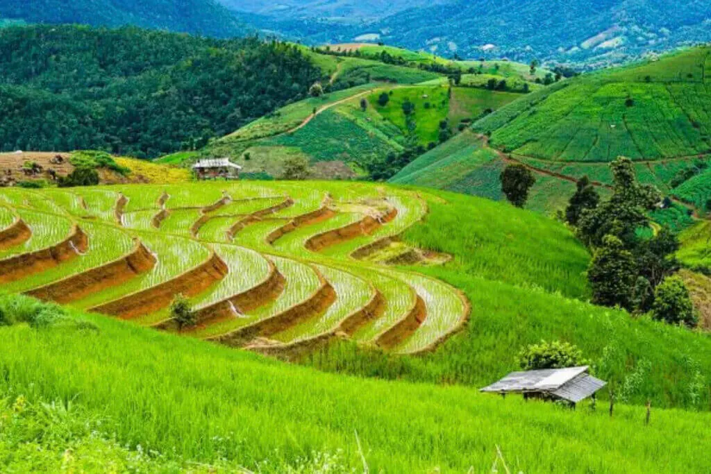 Pa Pong Pieng Rice Terraces in Doi Inthanon National Park Thailand hidden gems