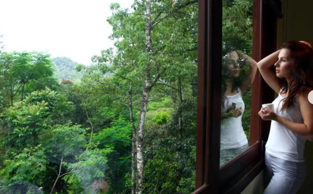 Vythiri Village resort room views