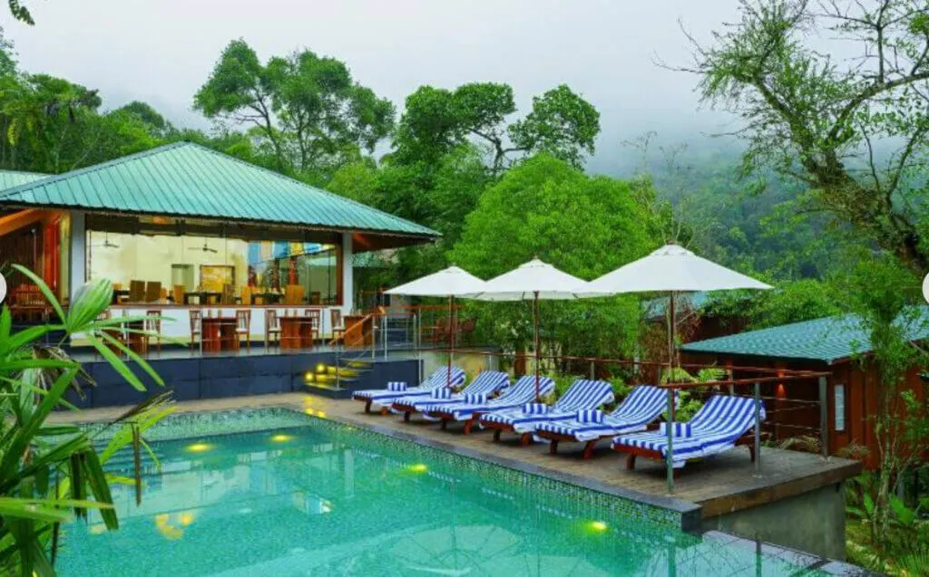 Niraamaya Retreats Cardamom Club pool currounded by nature
