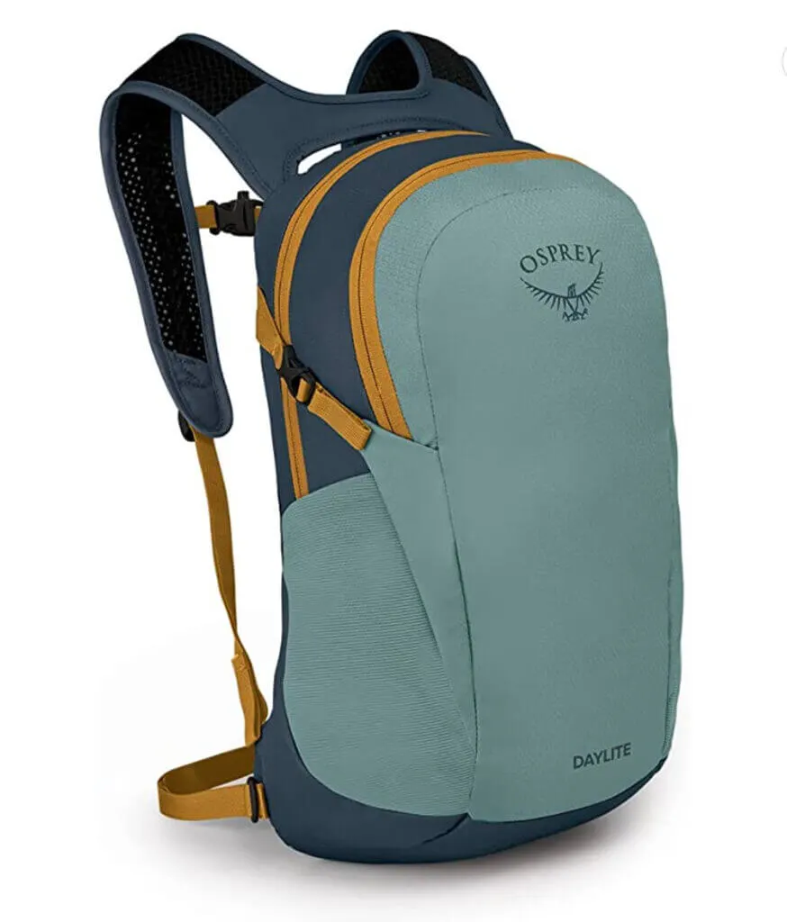 fancy day pack for travel