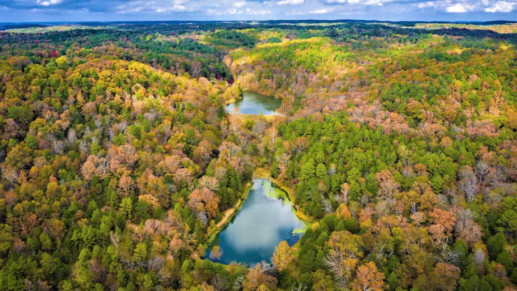 unique places to stay in nature in eureka springs ak