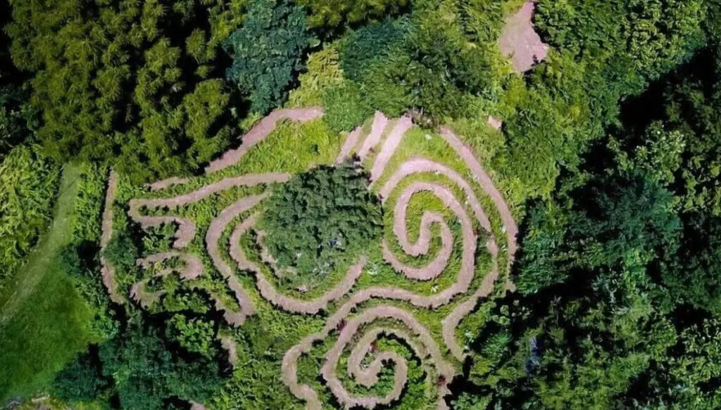 Shot of the hedge maze from above at the Lost River Hostel