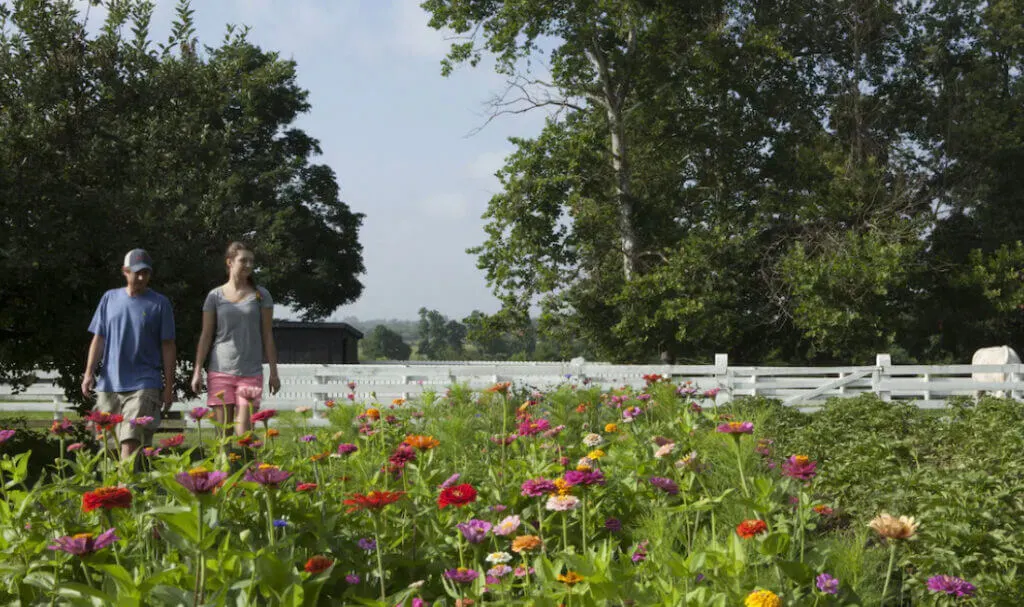 Strolling through the gardens at unique place to stay in Kentucky, Shaker Village of Pleasant Hill
