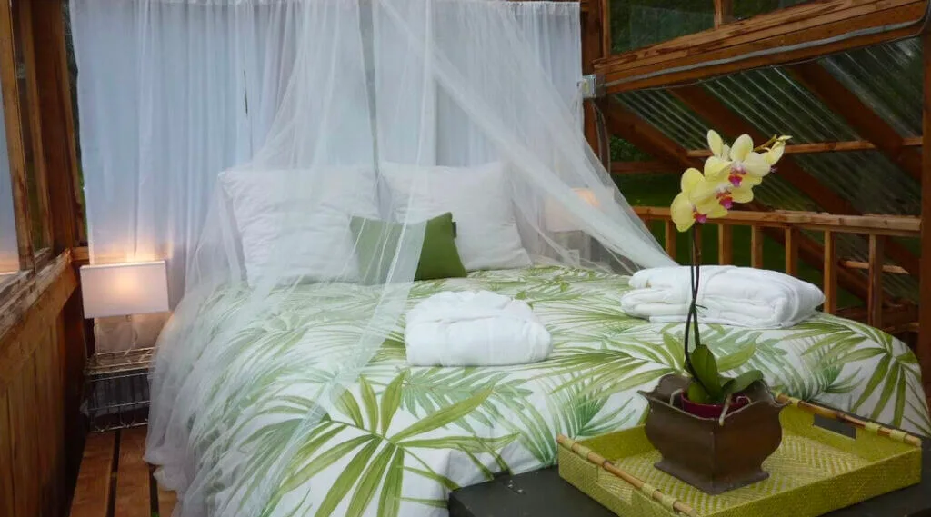 loft bed at unique oregon place to stay The Bali House