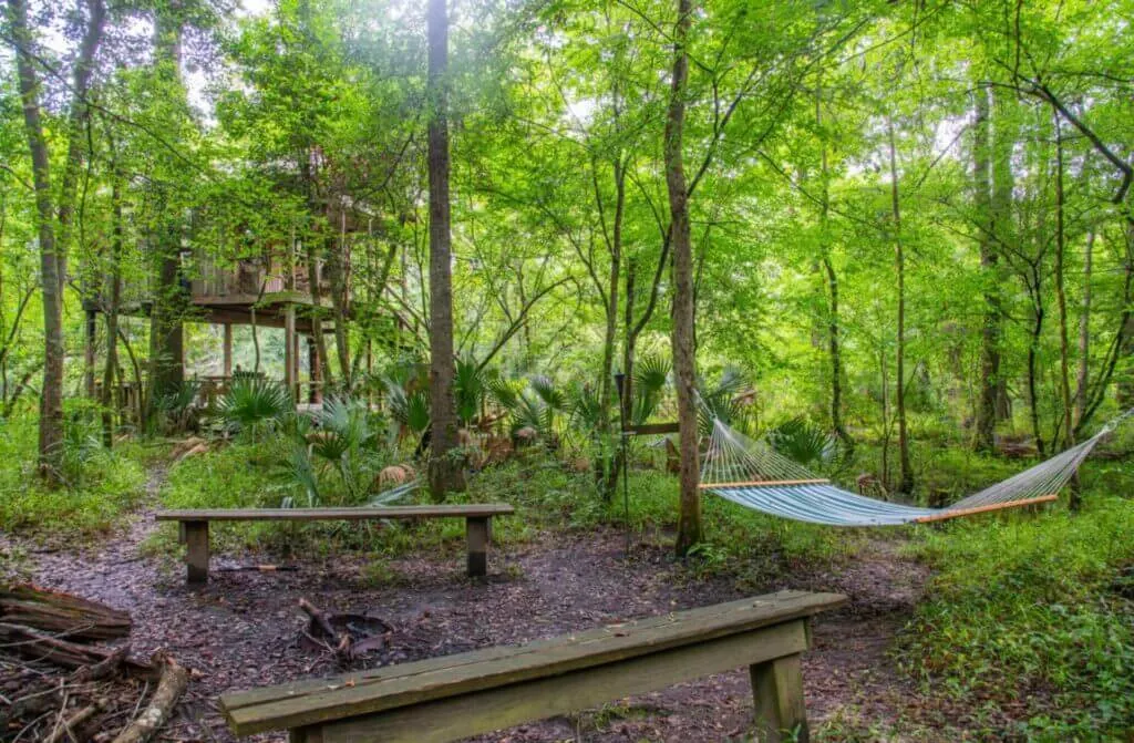 outdoors are with hammock and firepit with treehouse lodging in distance at Edisto Treehouses South Carolina