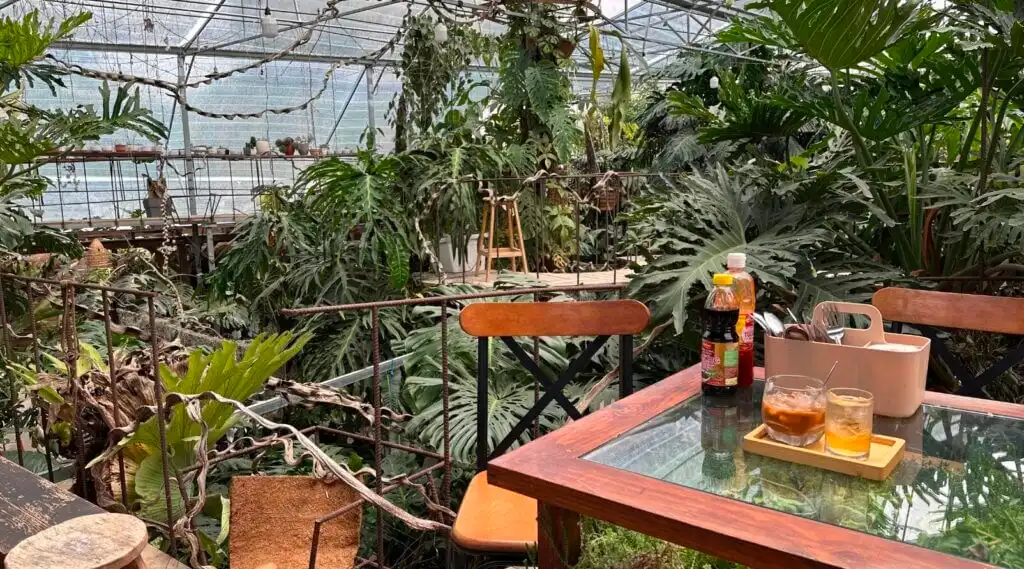 best dalat vietnam cafes Vintage 1991