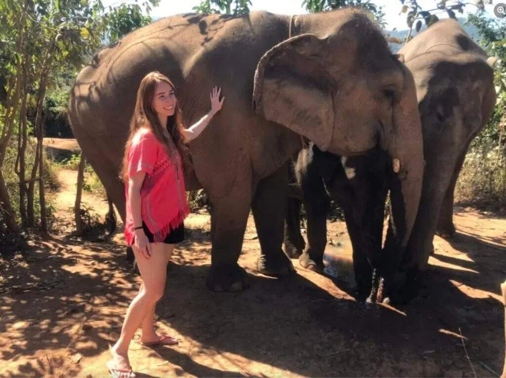 Finding the best Elephant Sanctuary n Chiang Mai - elephant freedom project 
