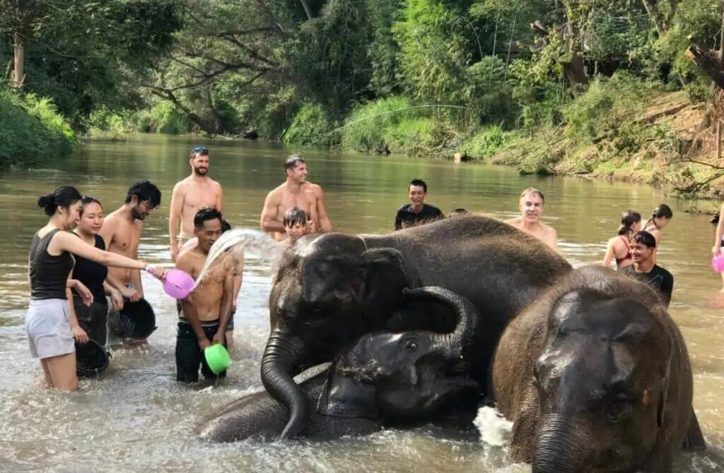 top three Best Elephant Sanctuaries in Chiang Mai 