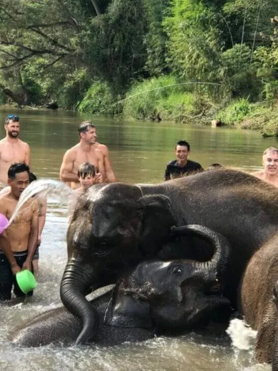 How to Find the Best Elephant Sanctuary in Chiang Mai (& Top 3)