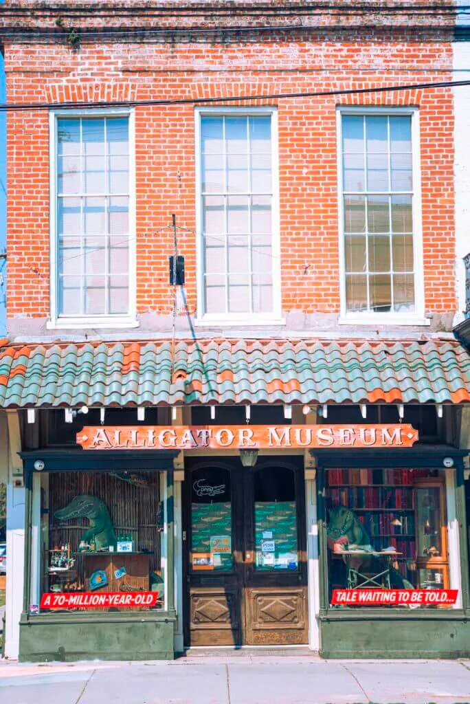 alligator museum nola 