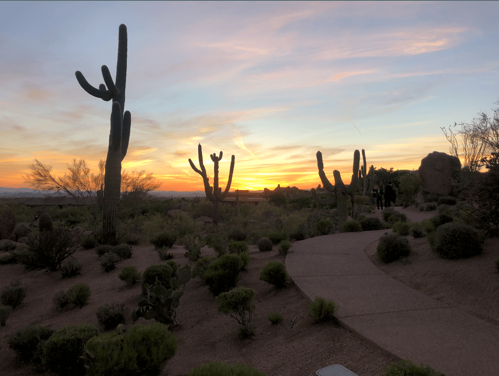 Arizona road trip apache junction area