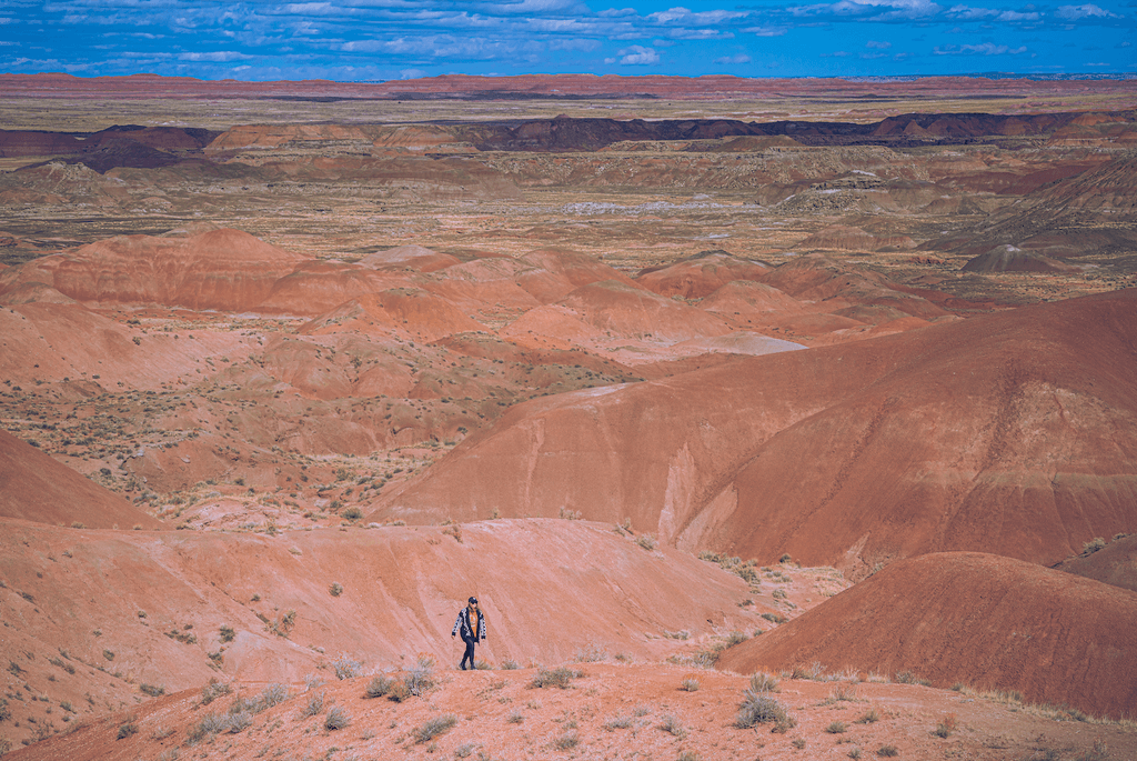 Petrified forest national park road trip stop Arizona