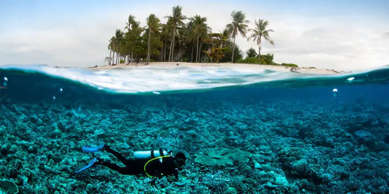 Bali Scuba Diving Guide: The best Dive Shops and Sites in Bali