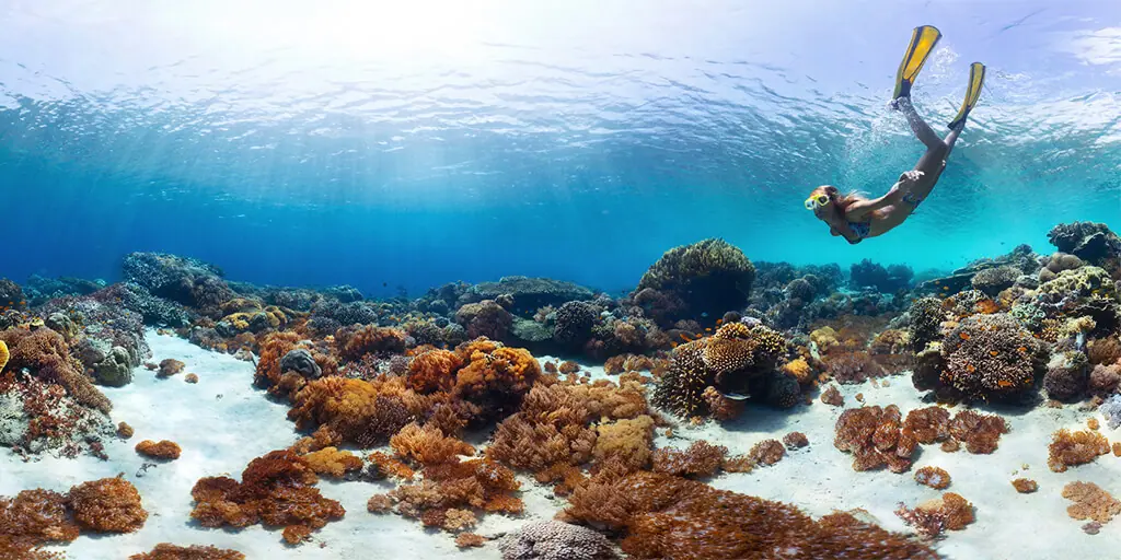 Snorkeling in Amed: A guide to the best bays and beaches in amed bali