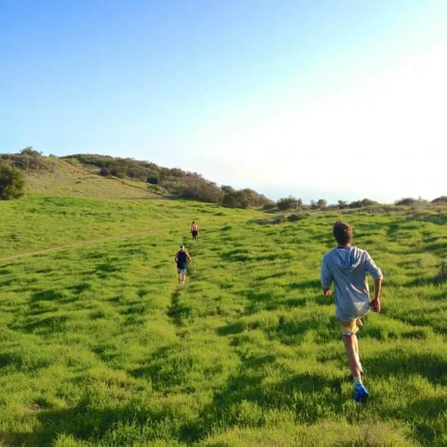 Greenery of Tuna Canyon, Malibu Southern California hike