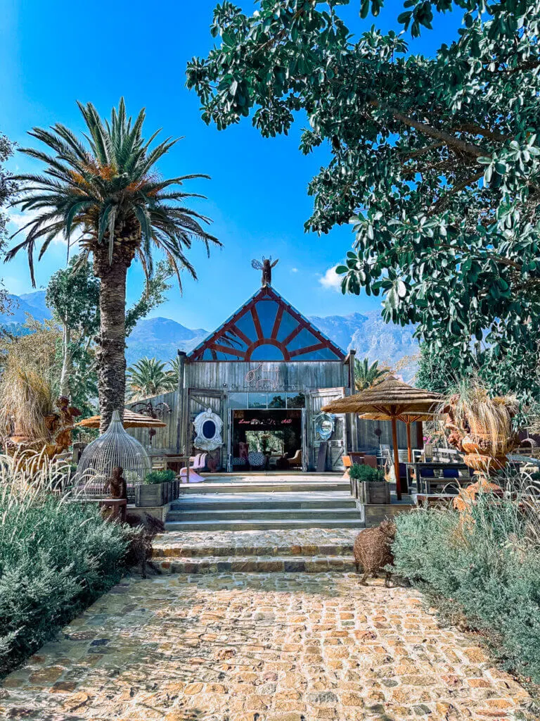 Pigcasso winery