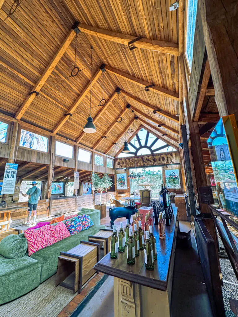 Pigcasso winery and vegan animal shelter petting zoo