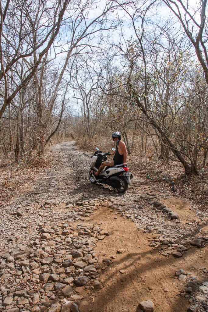 west bali national park driving roads