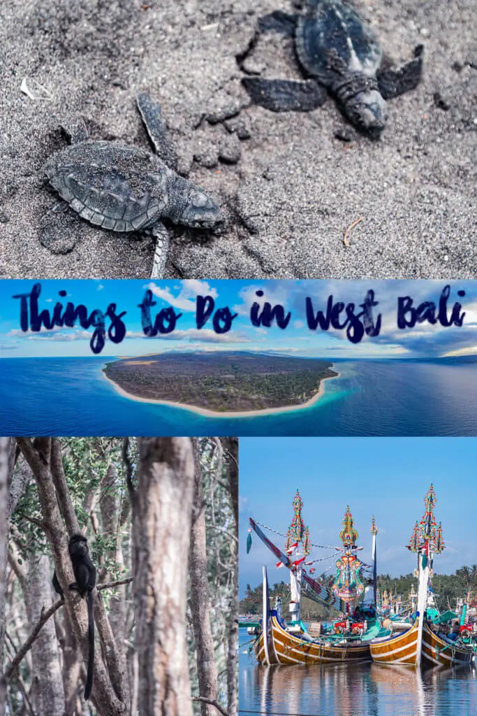 Things to do in West Bali: Here is a road trip itinerary for a much lesser-visited part of Bali that is very authentic! Visit West Bali National Park, a turtle conservation center, see wildlife, and see amazing fishing boats and sunsets!