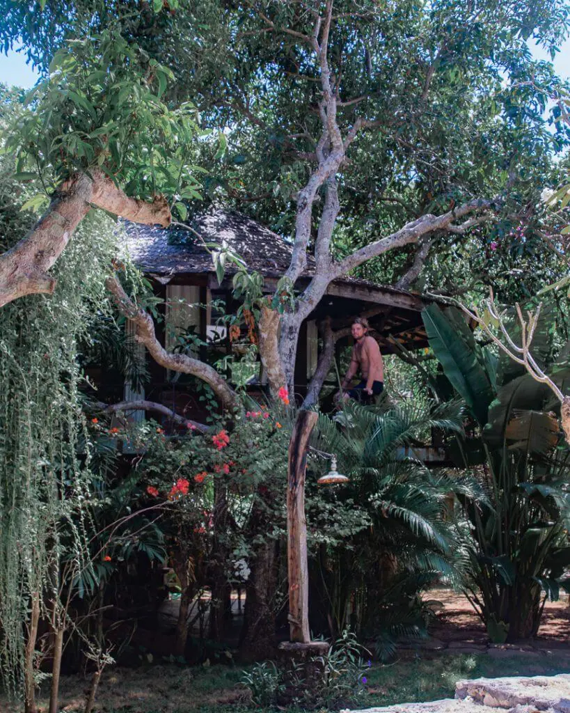 accommodation in uluwatu treehose alchemist bali