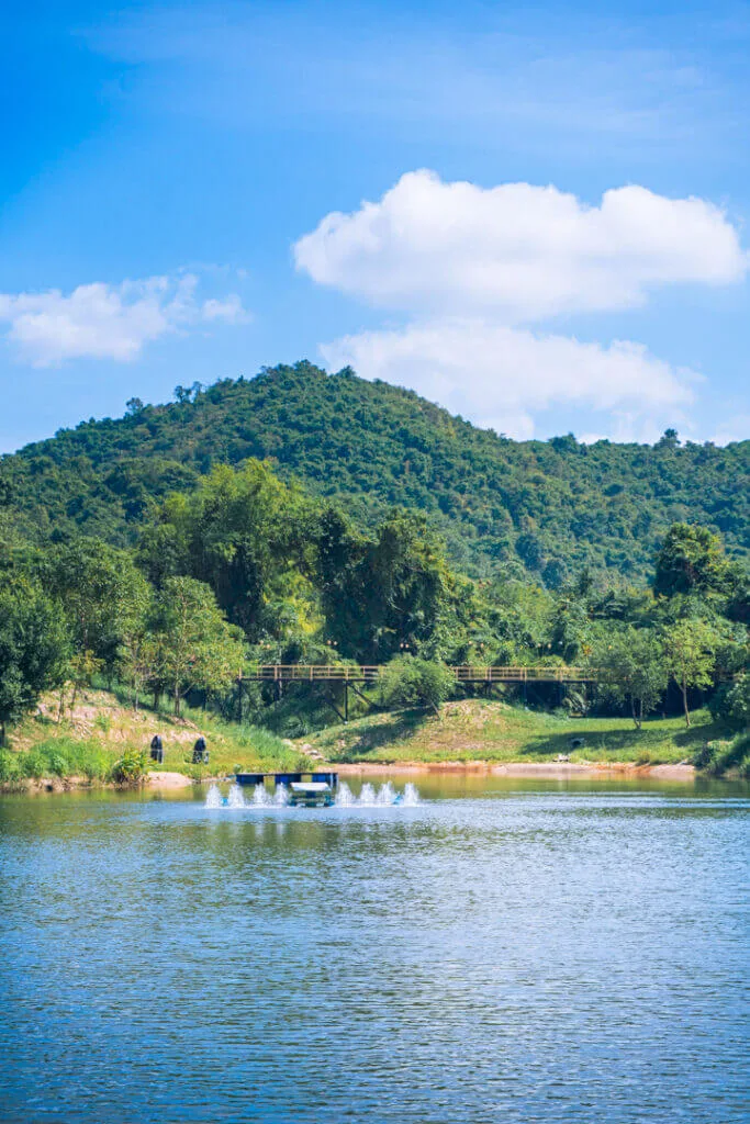 wonderfruit location Thailand 