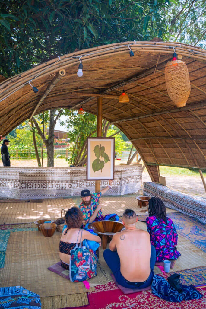 Kava tasting at wonderfruit festival thailand