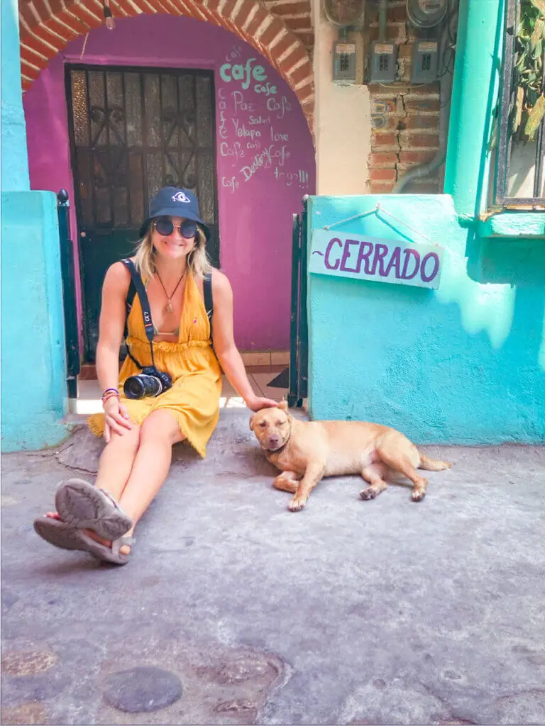 street dogs in yelapa mexico 