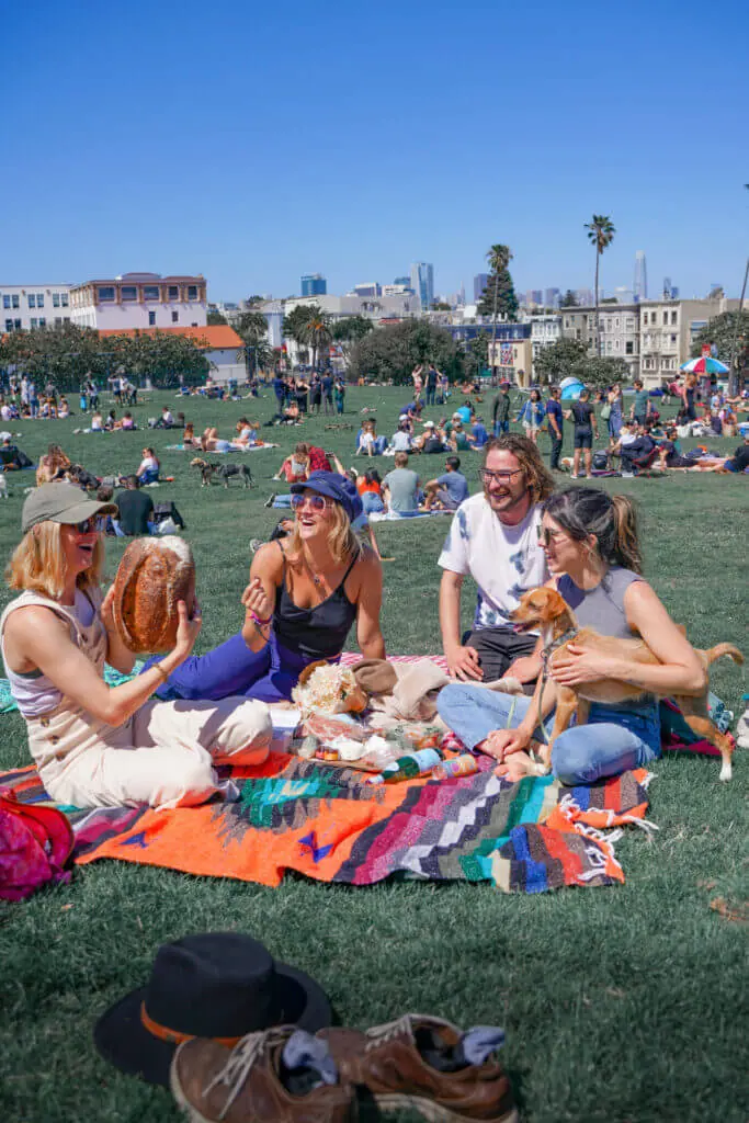 AmazingCo Mystery Picnic Experience