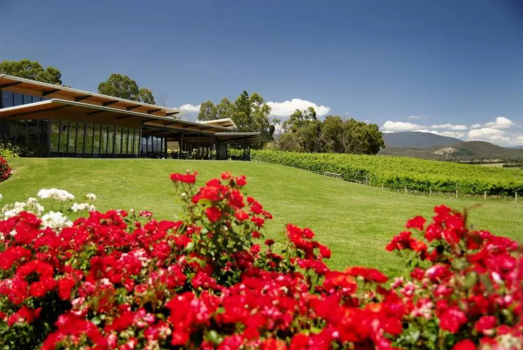 Balgownie estate- best yarra valley wineries with accommodation