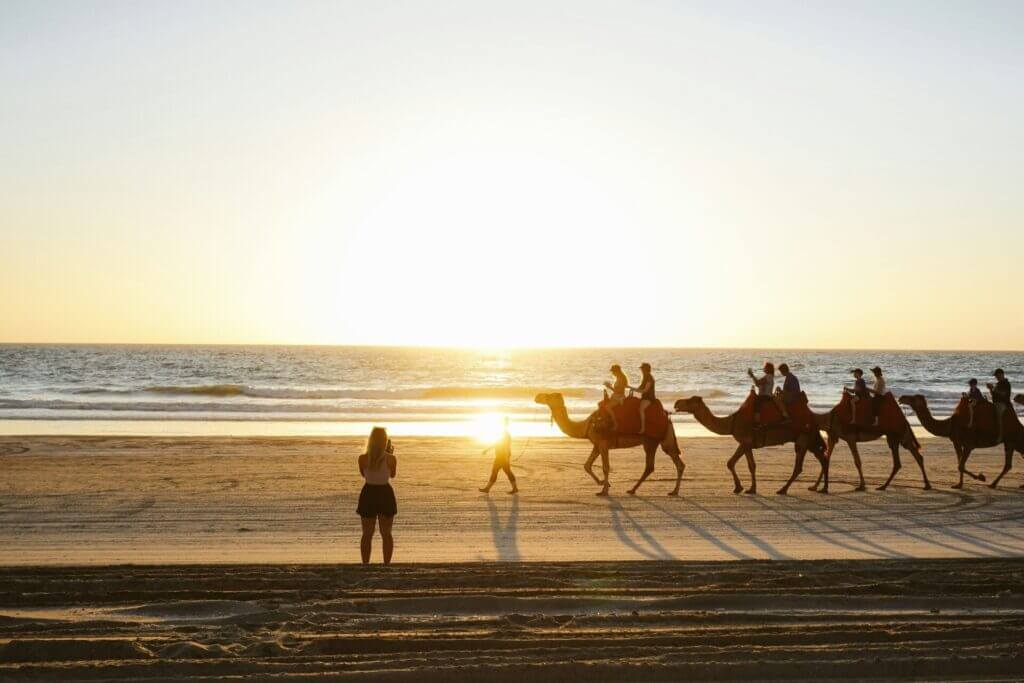 camels on the beach broome