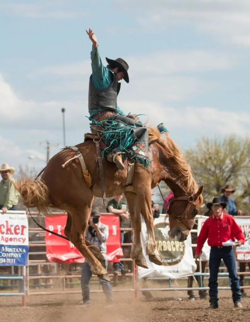 Funny Texas Quotes for instagram - funny cowboy and horse
