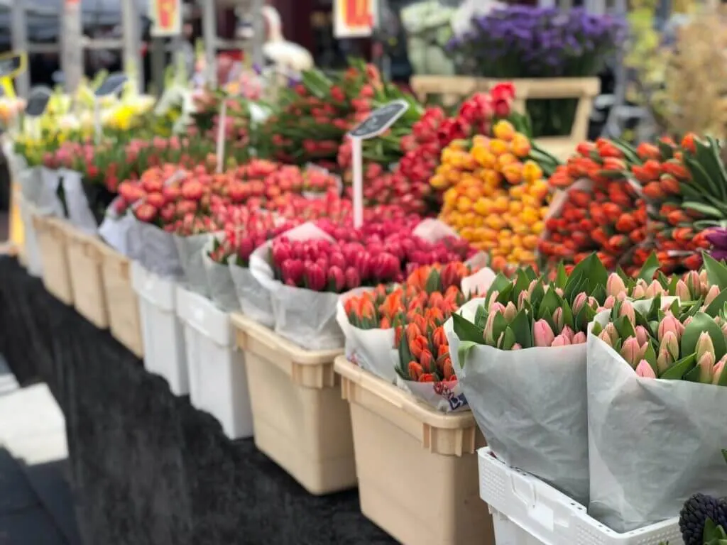 One of many things to explore at the Albert Cuypmarkt Amsterdam