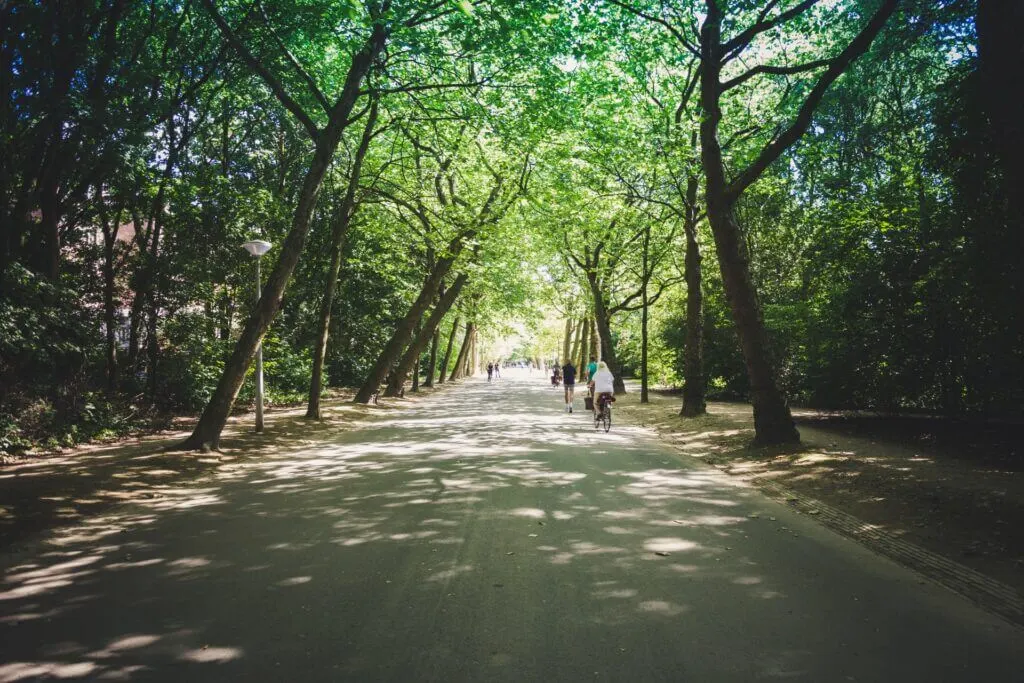 Free shows at Vondelpark Amsterdam