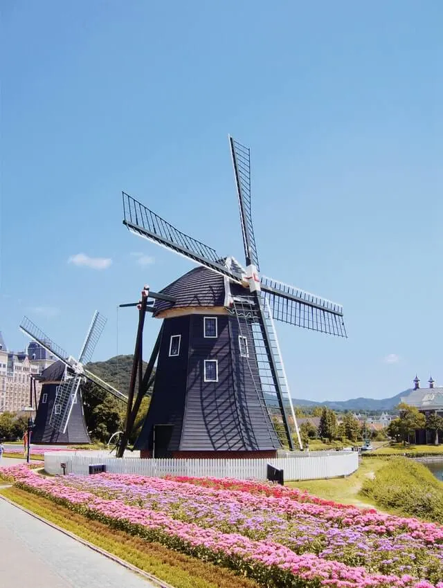 The windmill bike tour is one of hte most unique things to do in Amsterdam netherlands