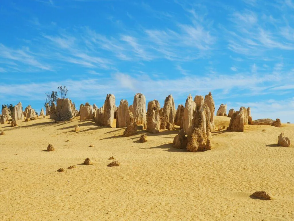 Explore the unique limestone formations of the Pinnacles Desert in Western Australia.