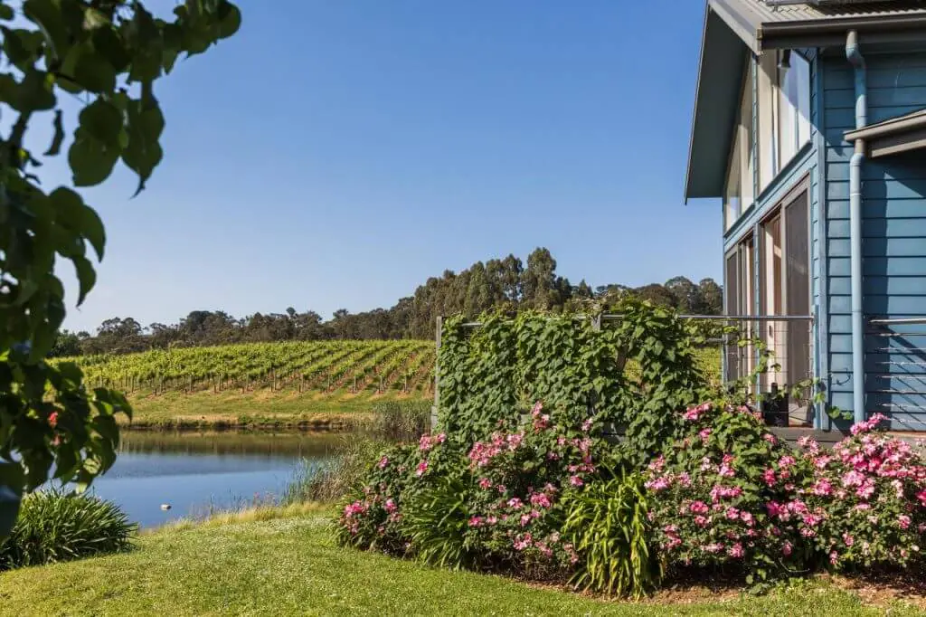 seville estate yarra valley wineries with accommodation