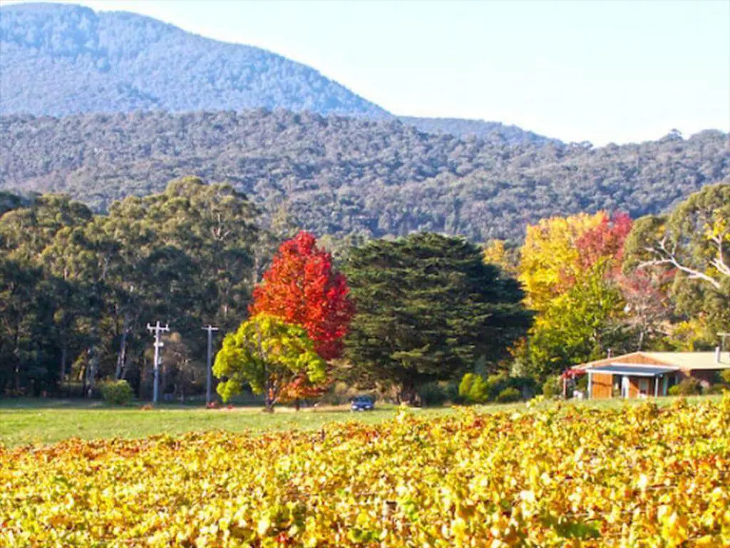 Valley farm vineyard cottages yarra valley winery accommodation